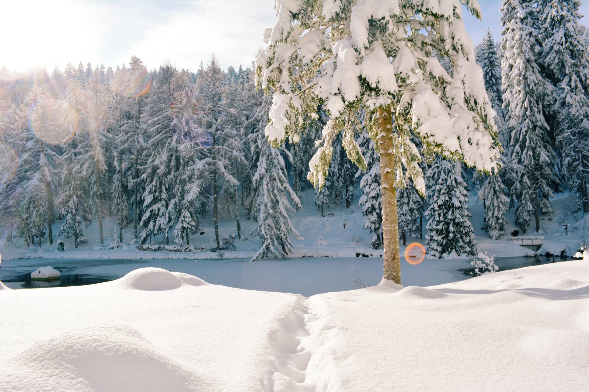Schnee im Schwarzwald