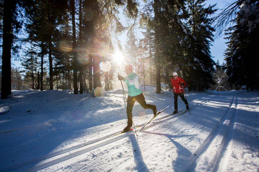 Skilanglauf am Langenwaldsee in Freudenstadt