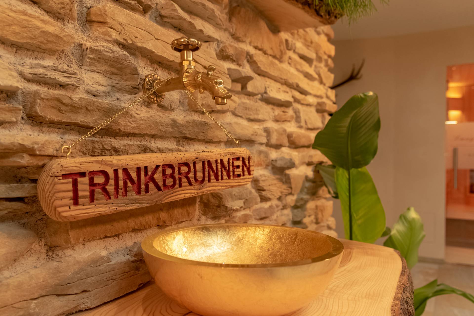 Trinkbrunnen Wellness am See Hotel Freudenstadt