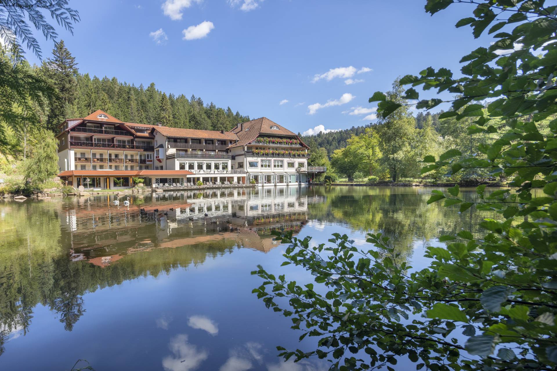 Außenansicht Hotel Langenwaldsee im Sommer