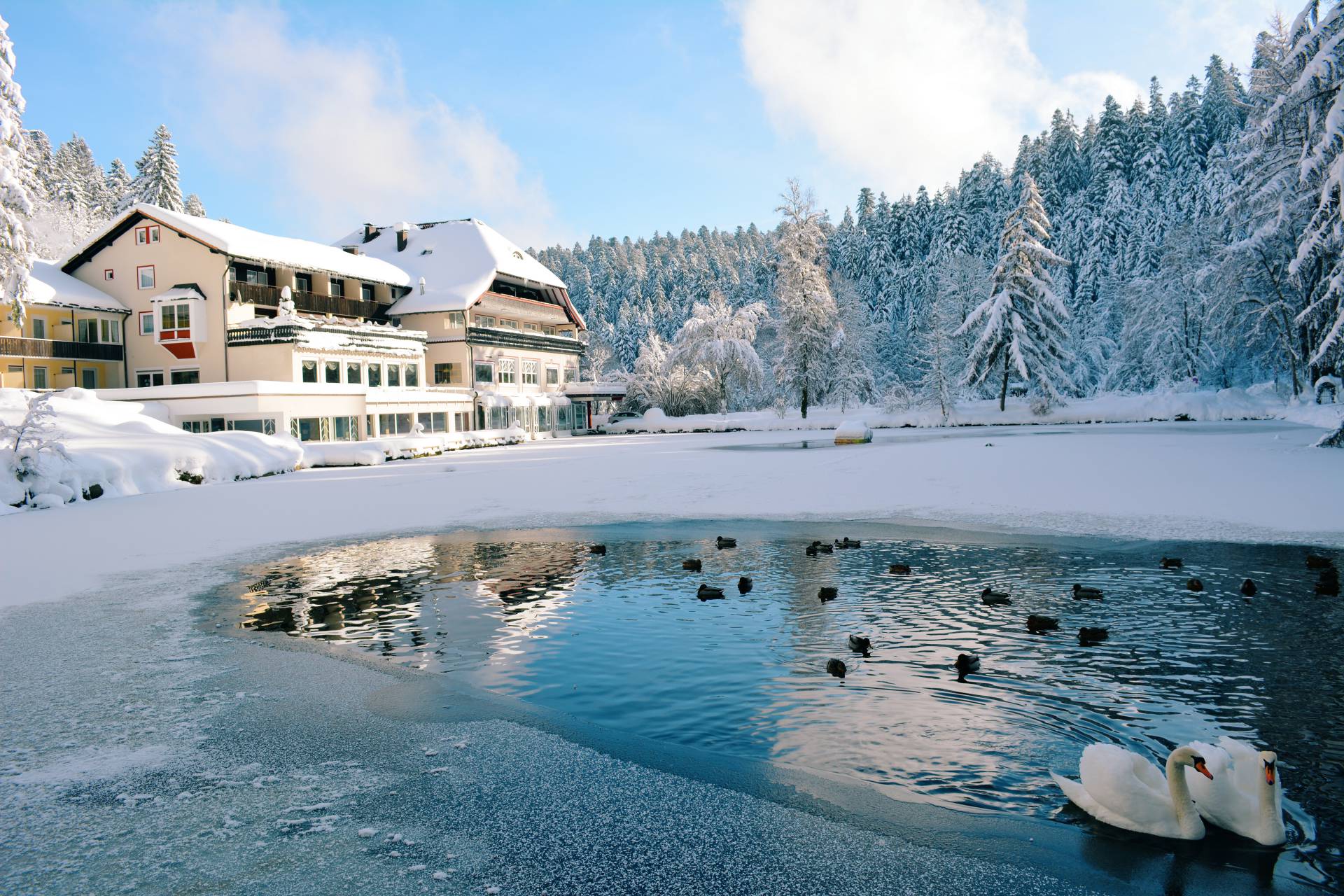 Ein Ambiente zum Träumen und Entspannen: Hotelzimmer & Appartements in Freudenstadt - Hotel Langenwaldsee