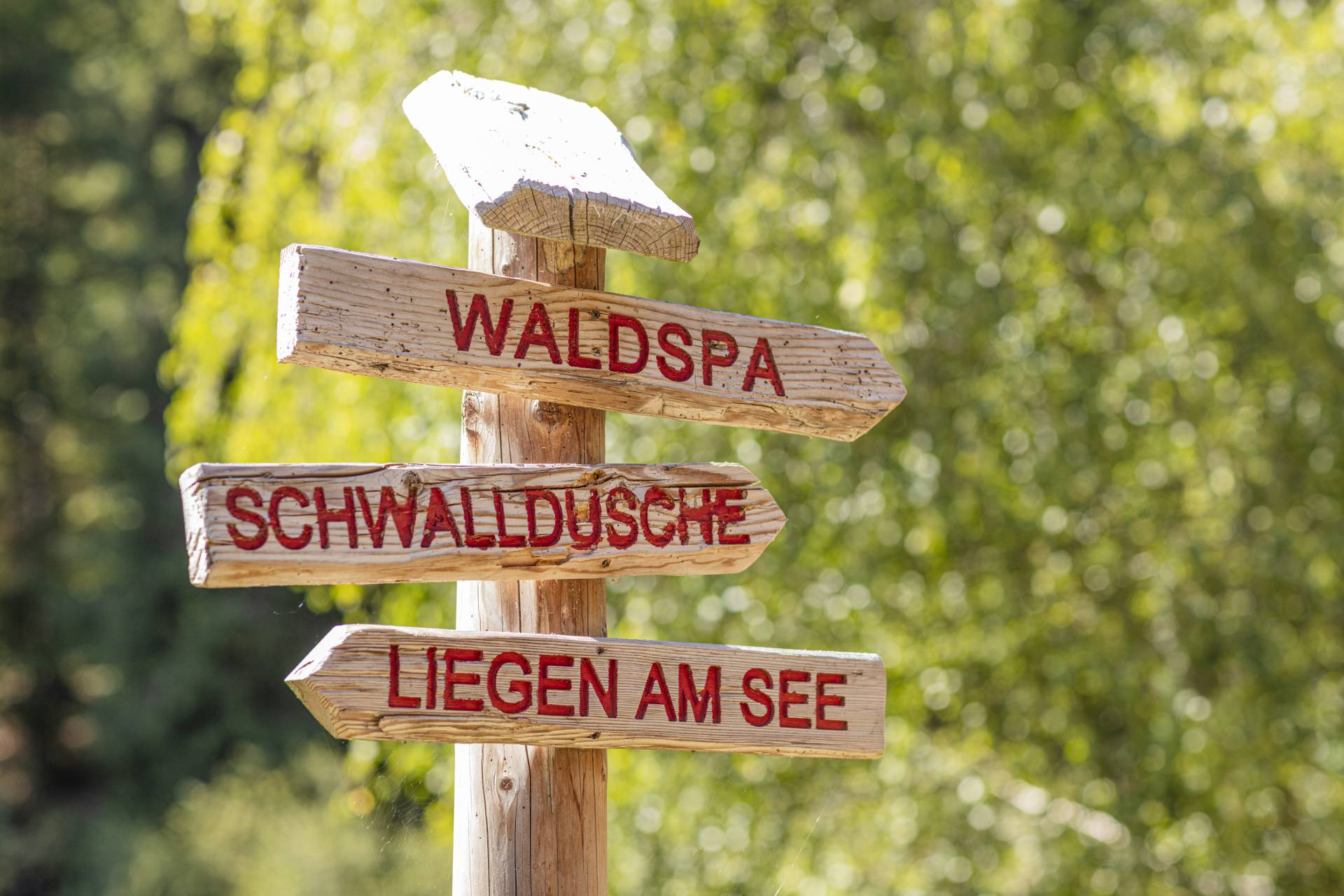Holzschild mit unterschiedlichen Wegrichtungen