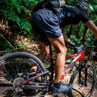 Biken im Schwarzwald