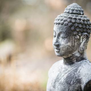 Detailbild Buddha im Japanischen Garten