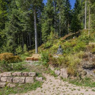 Wellnessgarten im Wald mit Liegemöglichkeiten