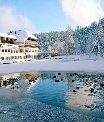 Ein Ambiente zum Träumen und Entspannen: Hotelzimmer & Appartements in Freudenstadt - Hotel Langenwaldsee
