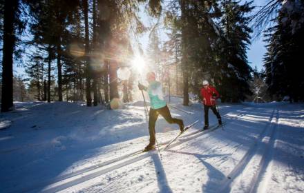 Skilanglauf am Langenwaldsee in Freudenstadt