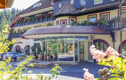 Eingangsbereich Wellnesshotel Langenwaldsee