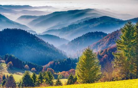 Nordschwarzwald im Morgennebel
