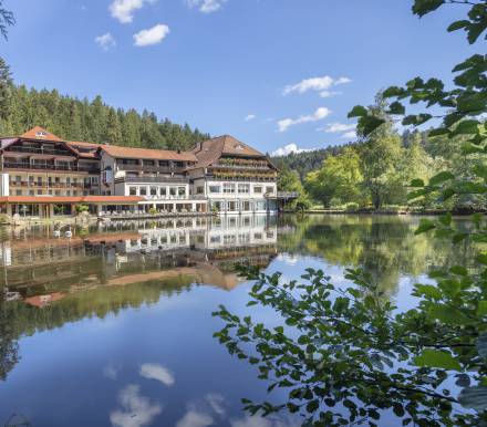Aussicht vom See auf das Hotel Langenwaldsee in Freudenstadt