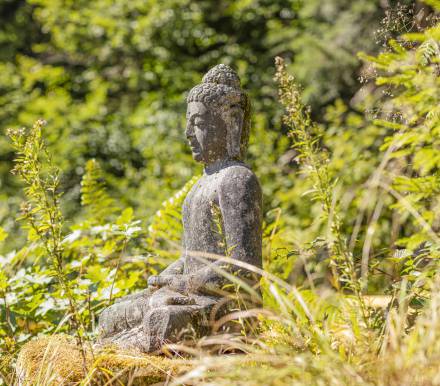 Buddha Statue im Wald