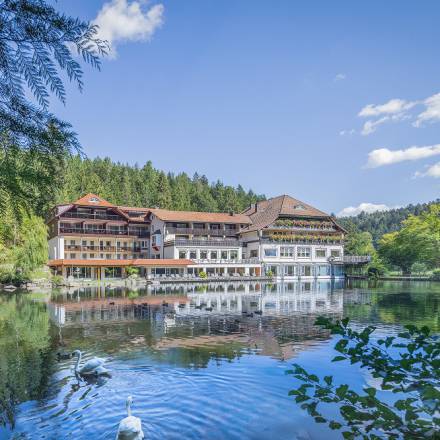 Hotel Langenwaldsee am See in Freudenstadt Außenansicht