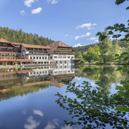 Aussicht vom See auf das Hotel Langenwaldsee in Freudenstadt
