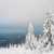 Der Schwarzwald verschneit im Winter