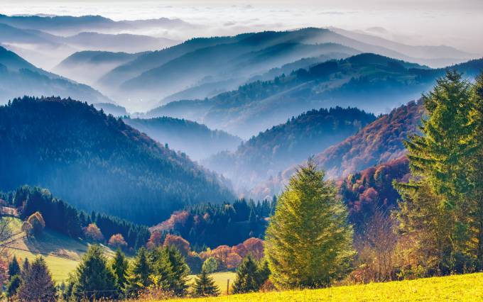 Nordschwarzwald im Morgennebel