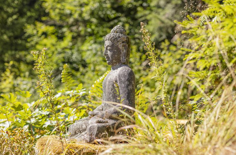Buddha Statue im Wald