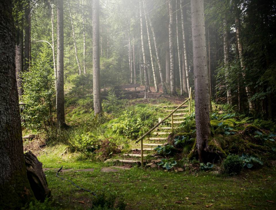 Nature Park host: From the region, for the region - Hotel Langenwaldsee