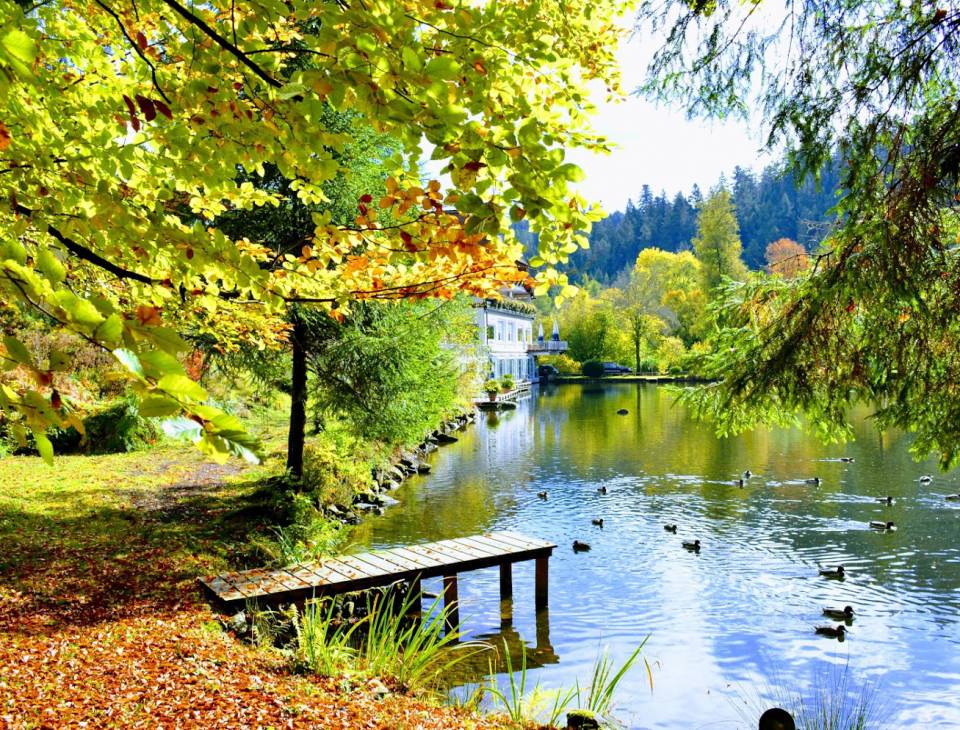 Der Langenwaldsee in Freudenstadt