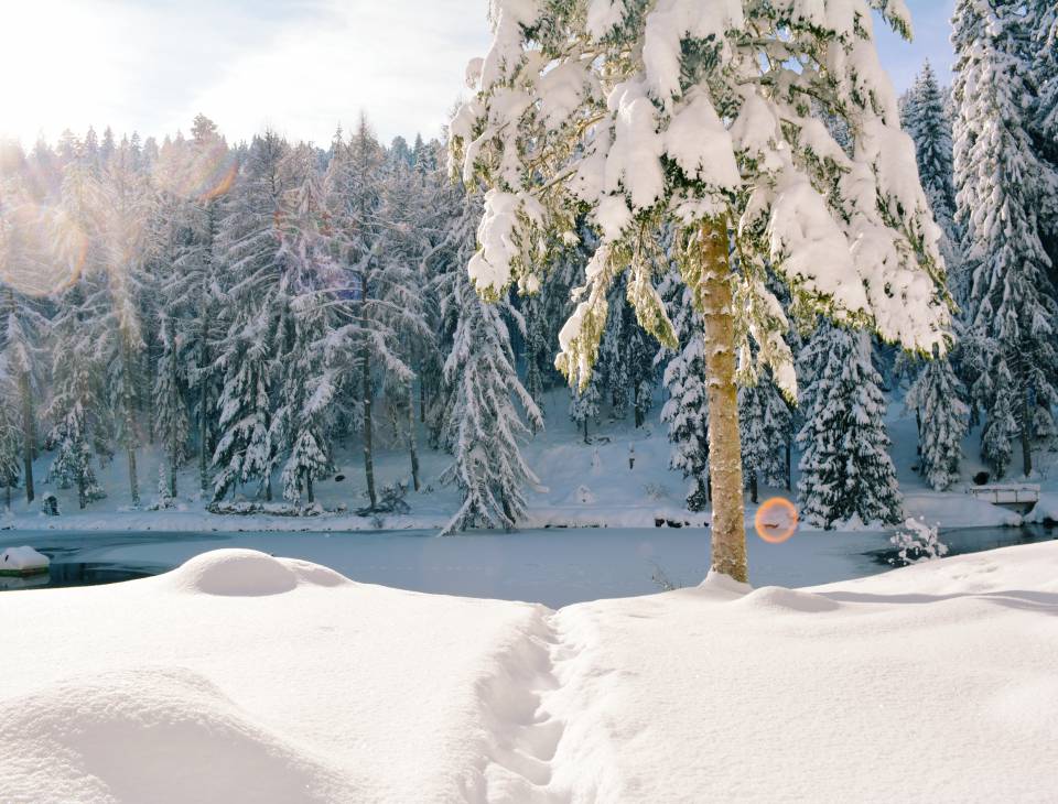 Schnee im Schwarzwald