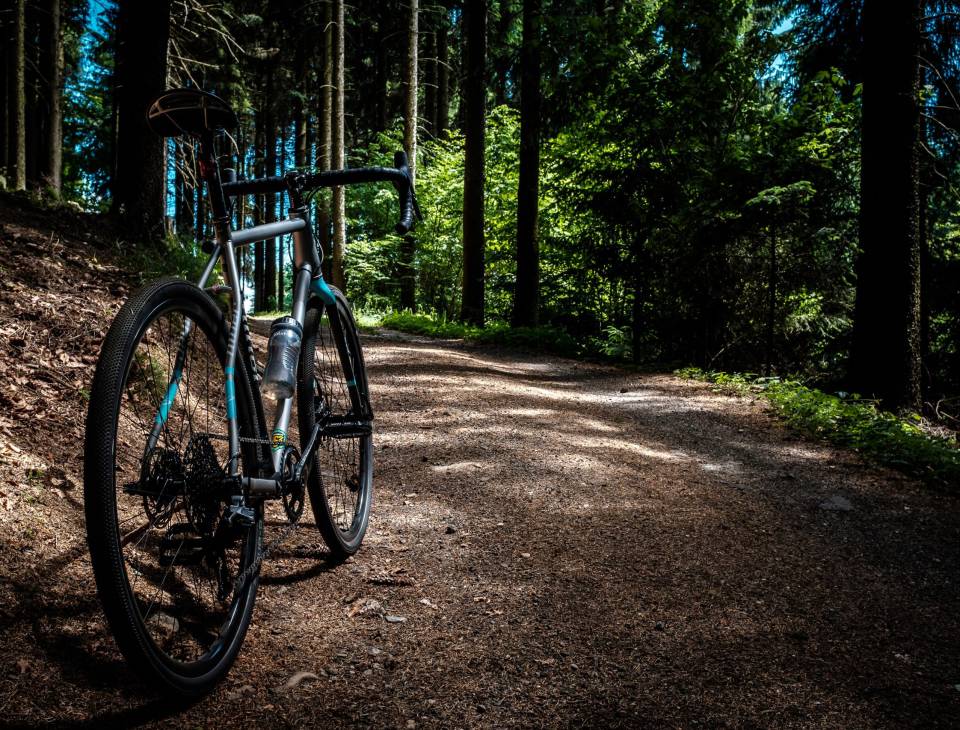 Kostenloser E-Bike-Verleih - Hotel Langenwaldsee