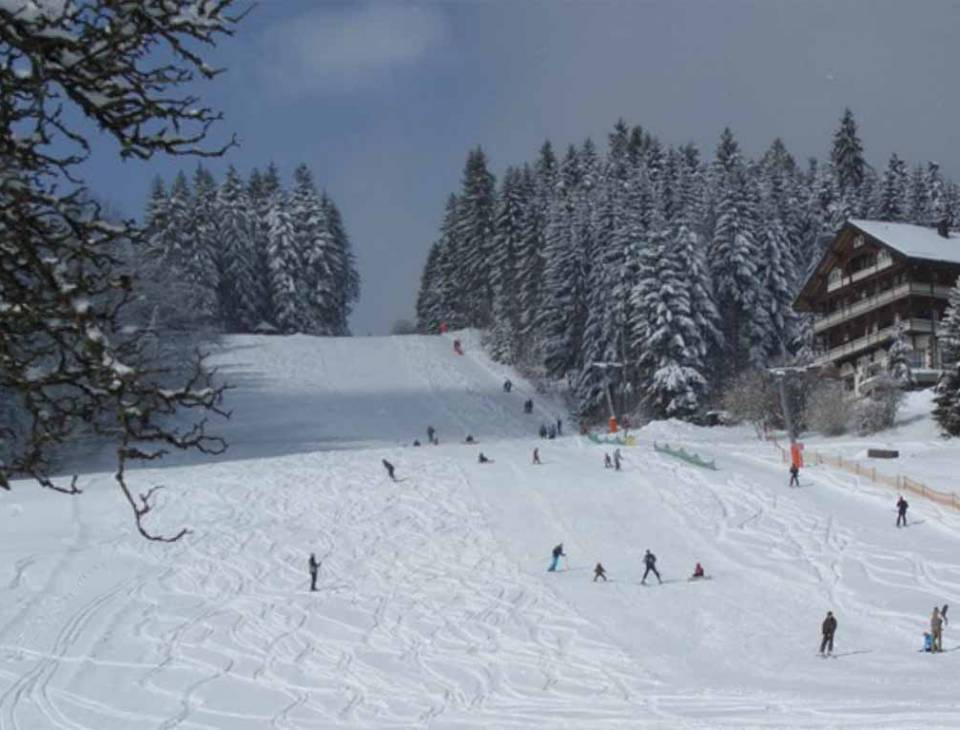 Skifahrer im Schwarzwald zwischen Tannen