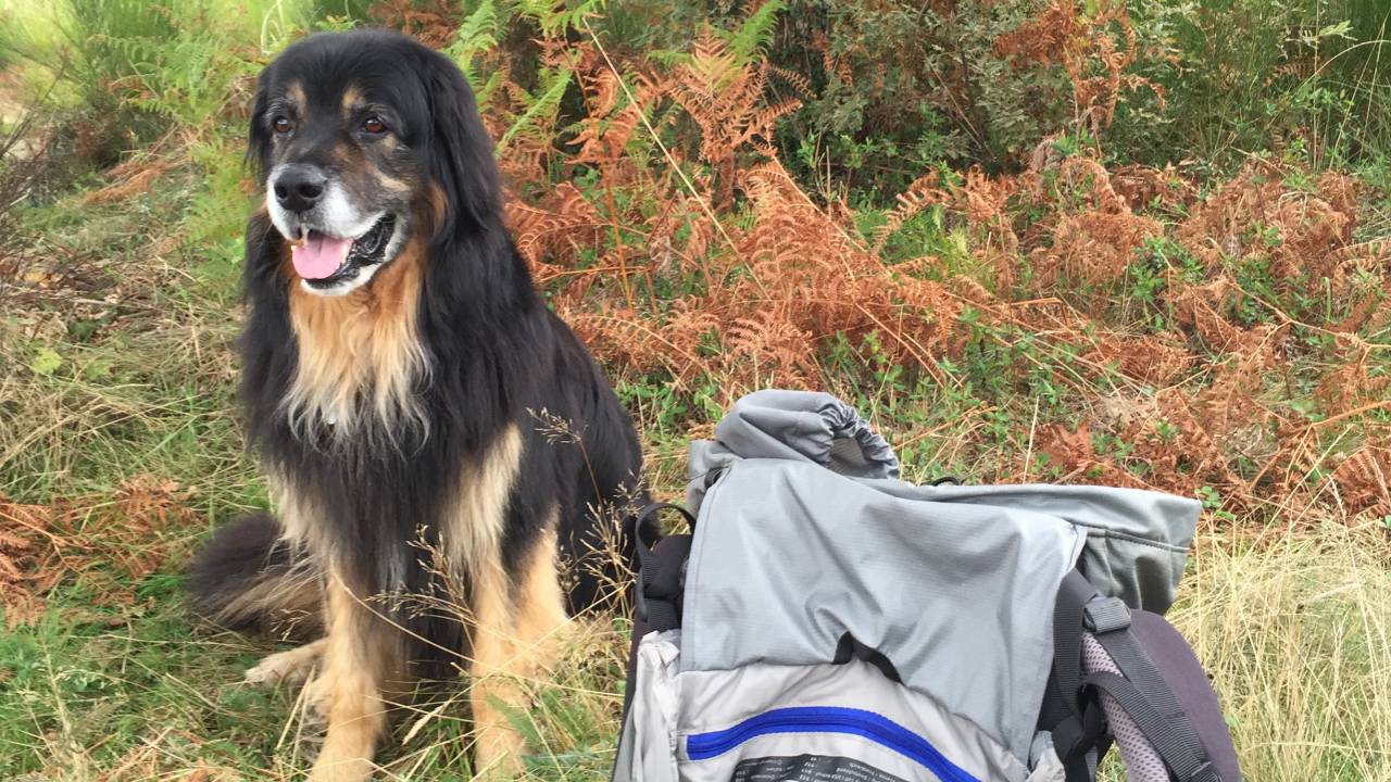 Wanderurlaub in Freudenstadt im Schwarzwald Hotel Langenwaldsee
