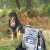 Hund im Wald sitz neben Wanderrucksack