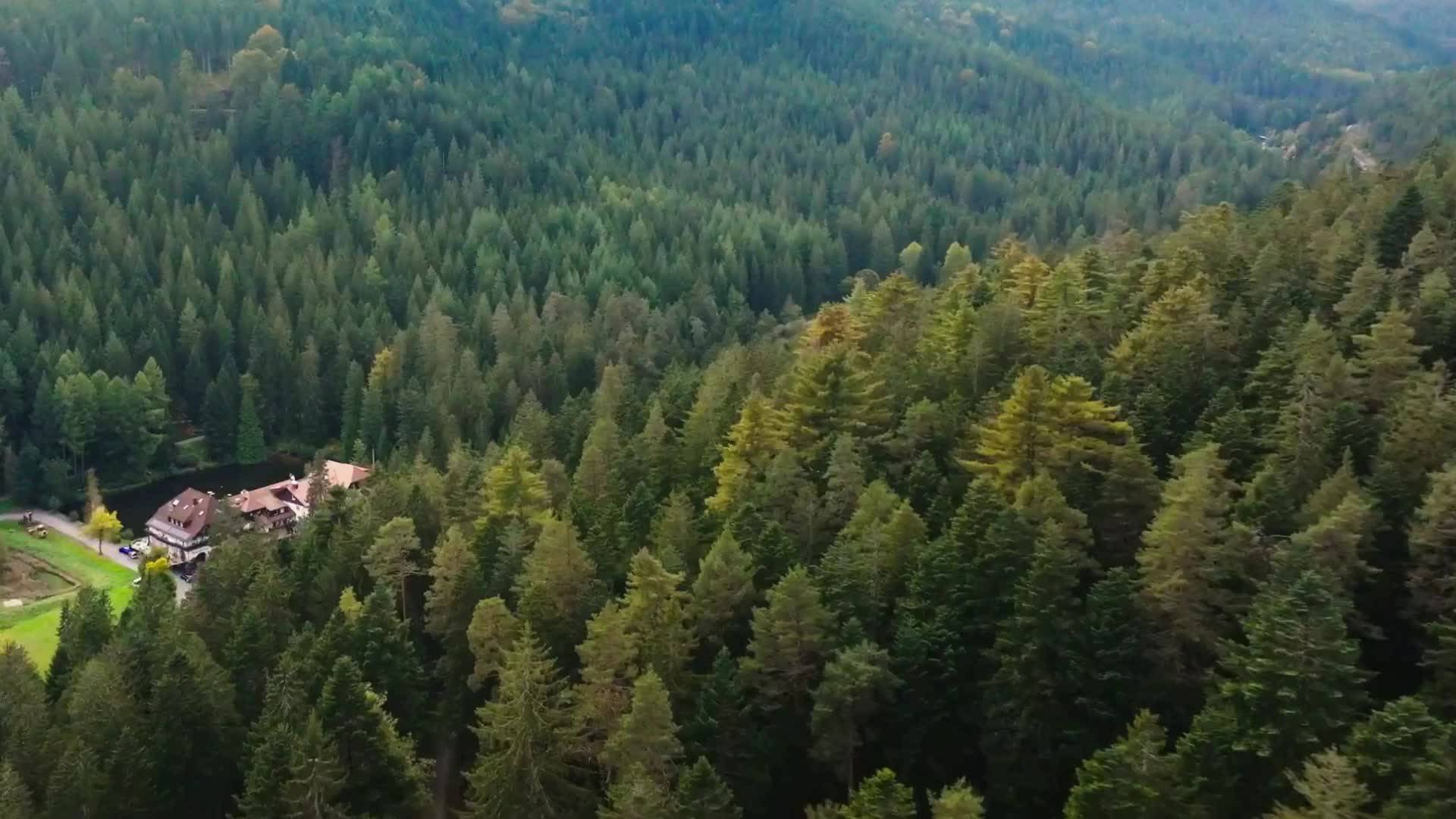Wellness Image Video Wellnesshotel Langenwaldsee