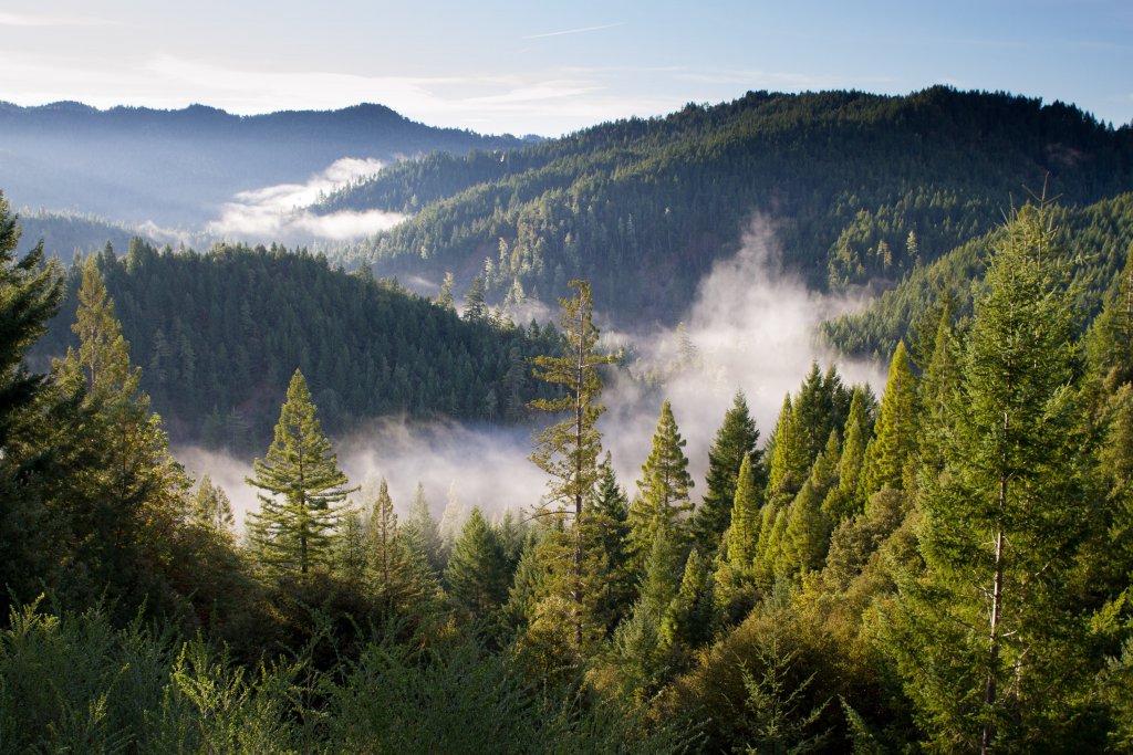 Aktivurlaub im Schwarzwald in Freudenstadt Hotel Langenwaldsee