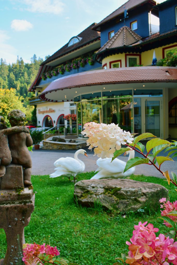 Das Schwarzwaldhotel in Freudenstadt Hotel Langenwaldsee
